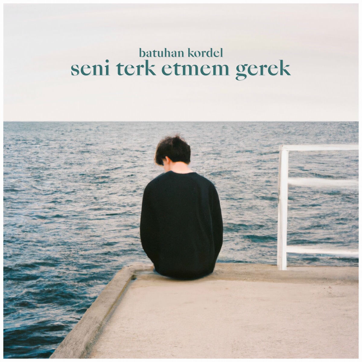 Album cover of Seni Terk Etmem Gerek