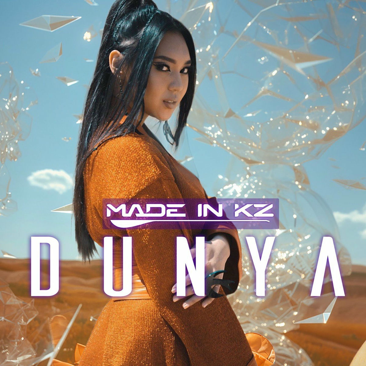 Album cover of DUNYA