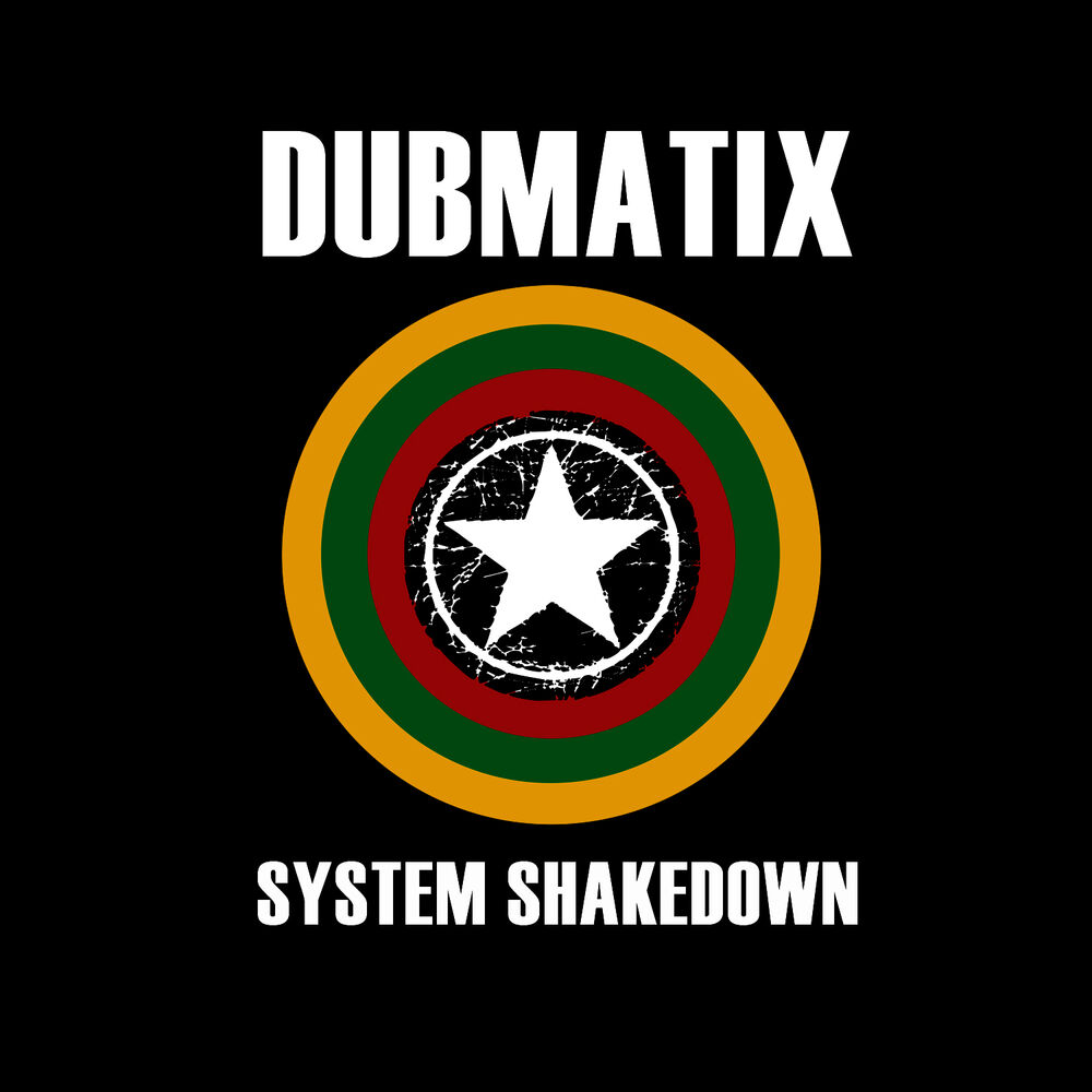 Picture of System Shakedown