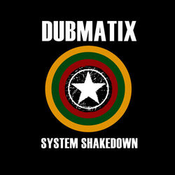 Cover of System Shakedown