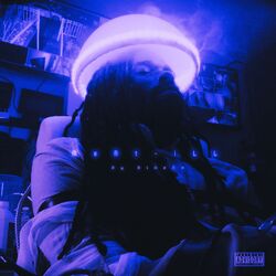 Cover of MENT-ILL (CHOPPED 'N SCREWED)