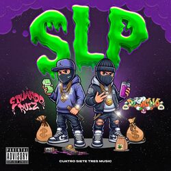 Cover of SLP