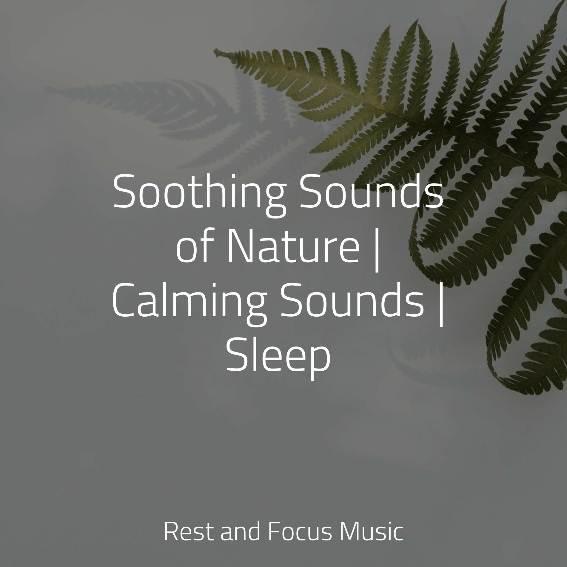 Album cover of Soothing Sounds of Nature | Calming Sounds | Sleep
