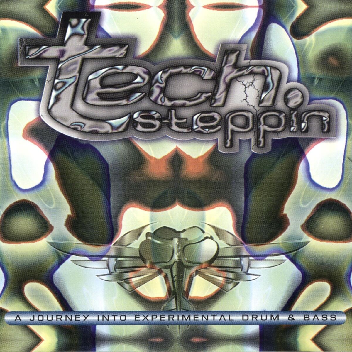 Album cover of Techsteppin'