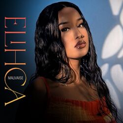 Cover of Mauvaise