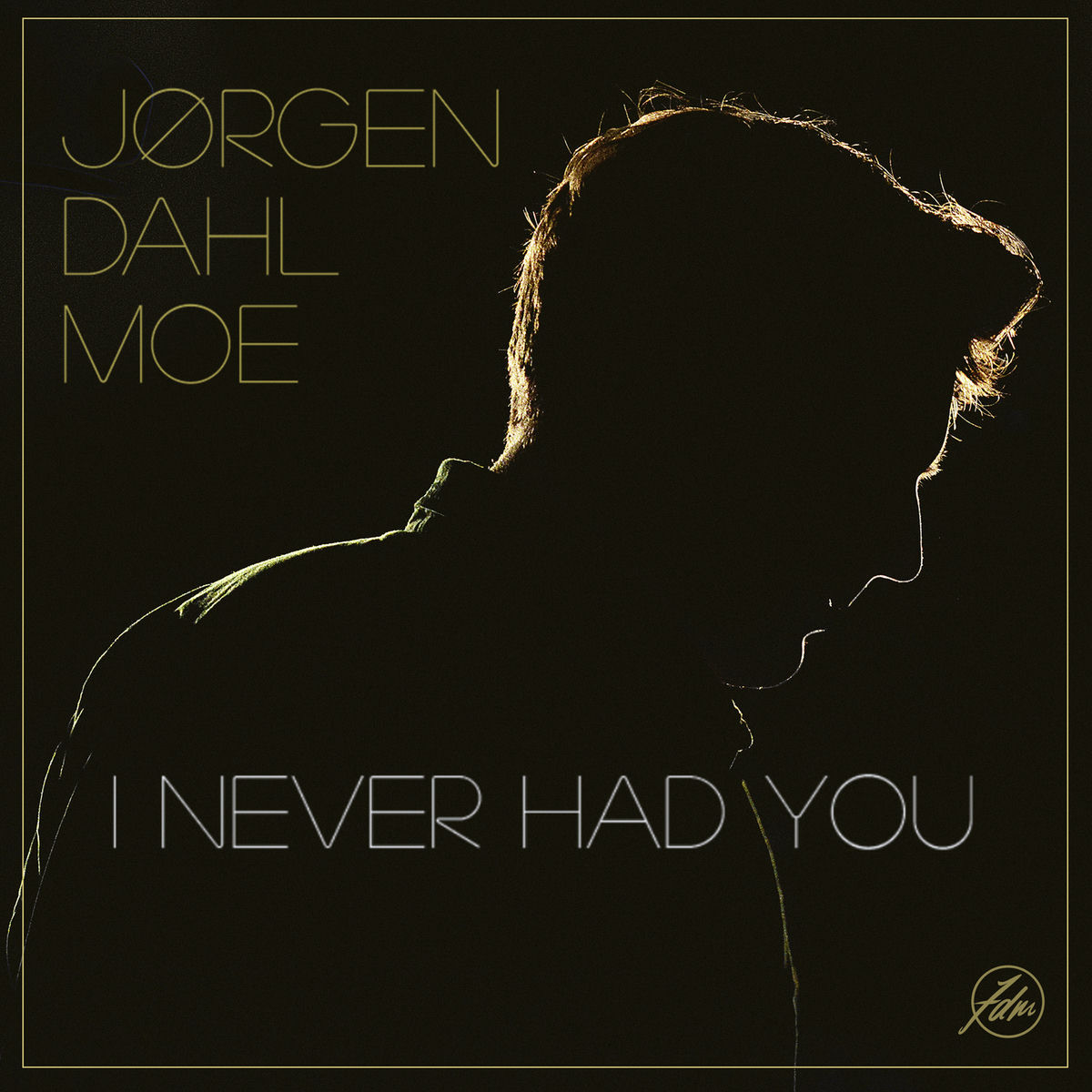 Album cover of I Never Had You