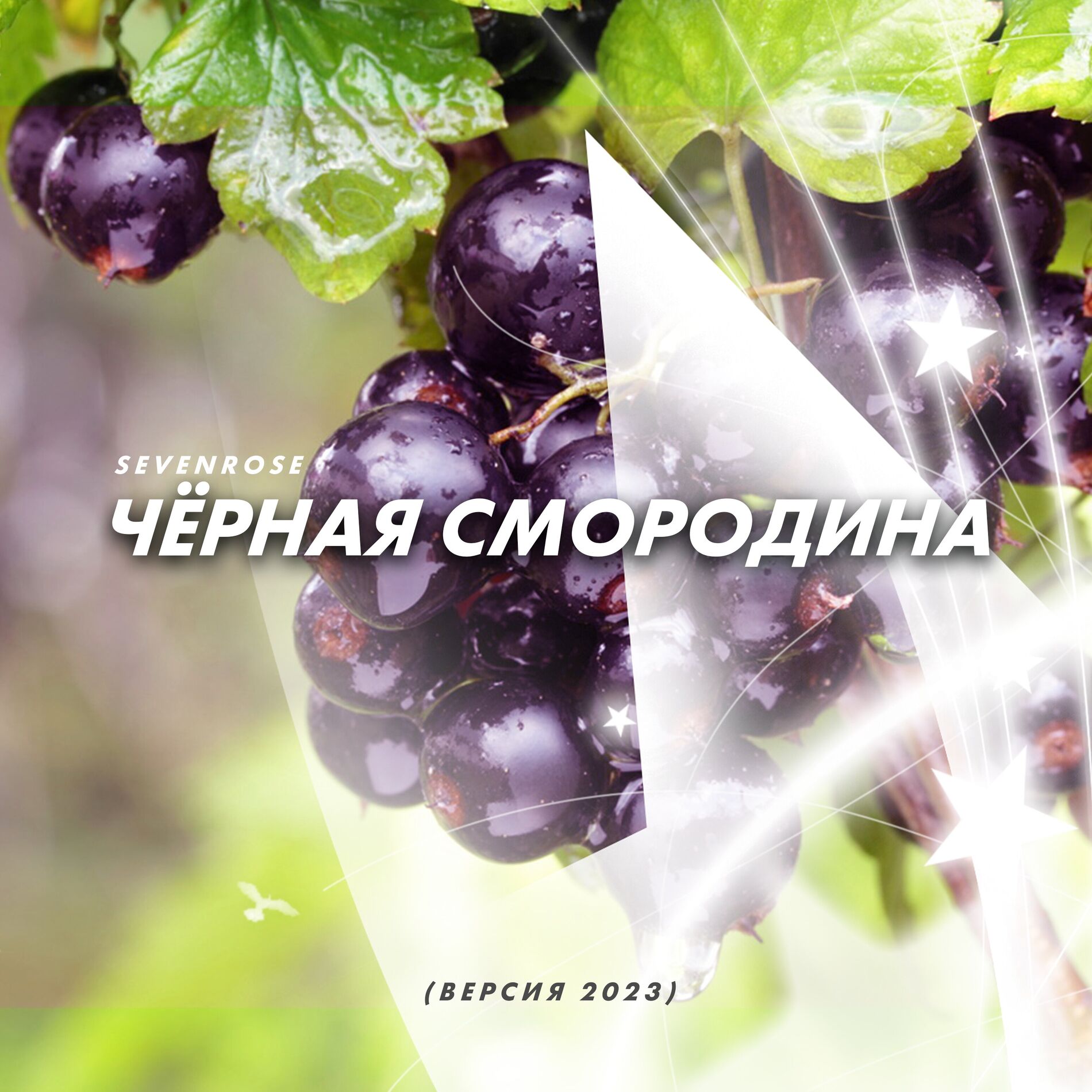 Album cover of Чёрная смородина (Версия 2023)