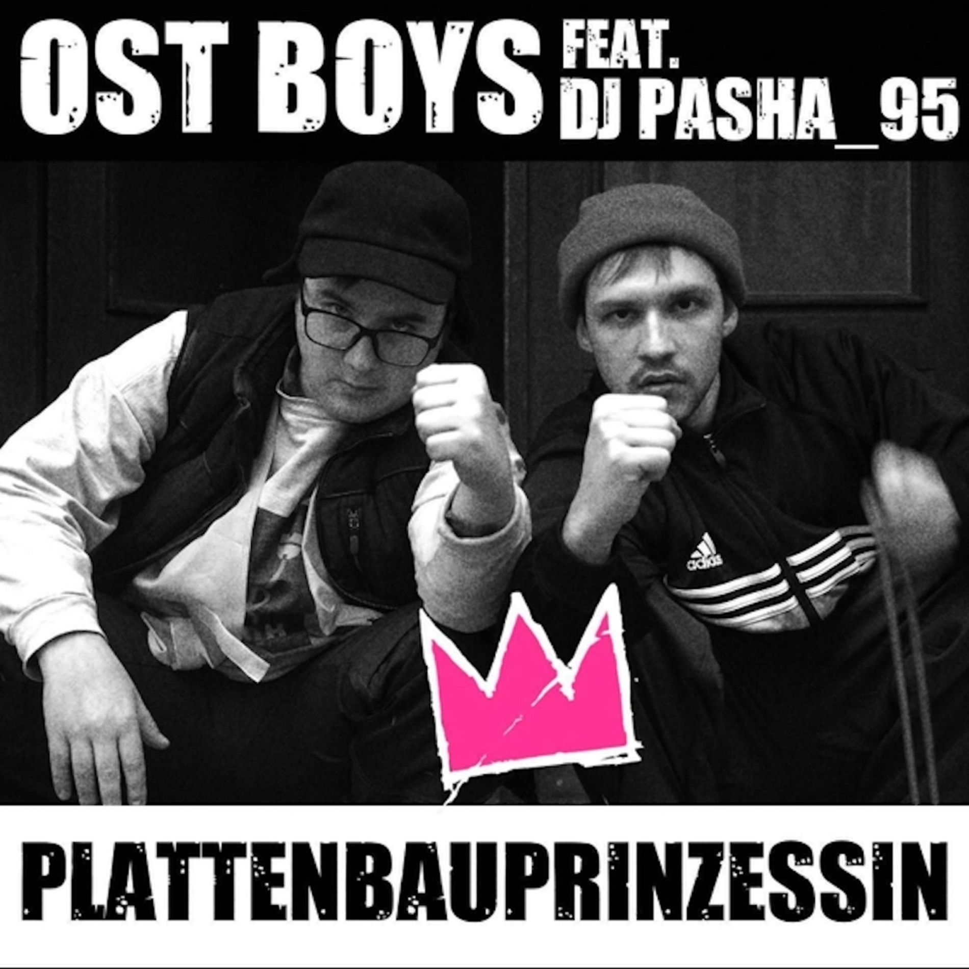 Album cover of Plattenbauprinzessin (feat. DJ Pasha_95)