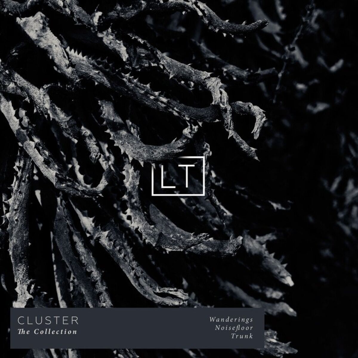 Album cover of Cluster (The Collection) (Instrumental)