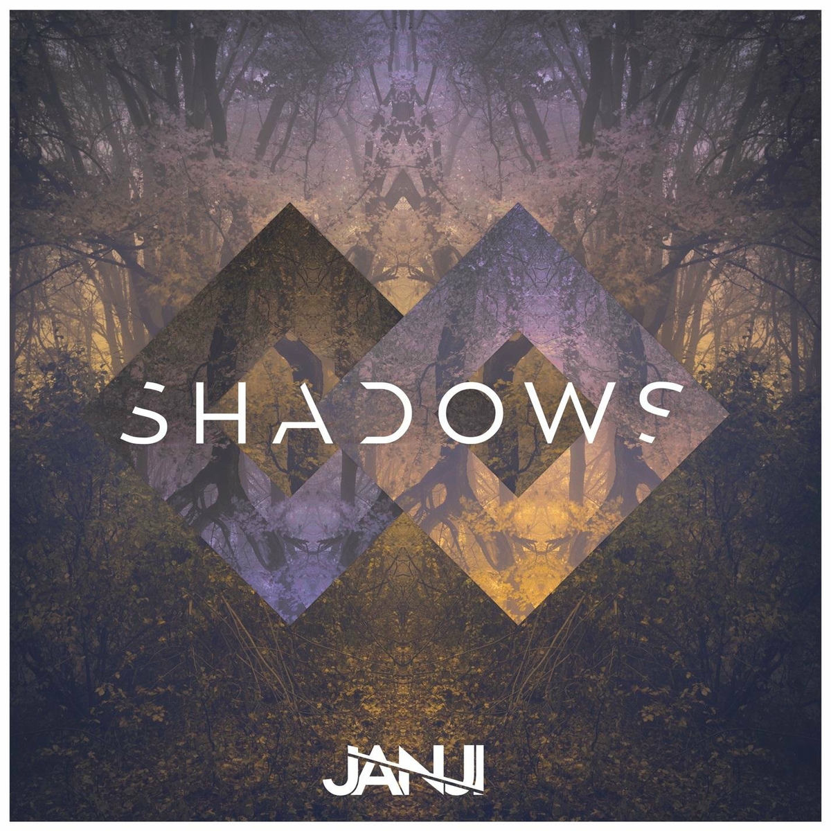 Album cover of Shadows