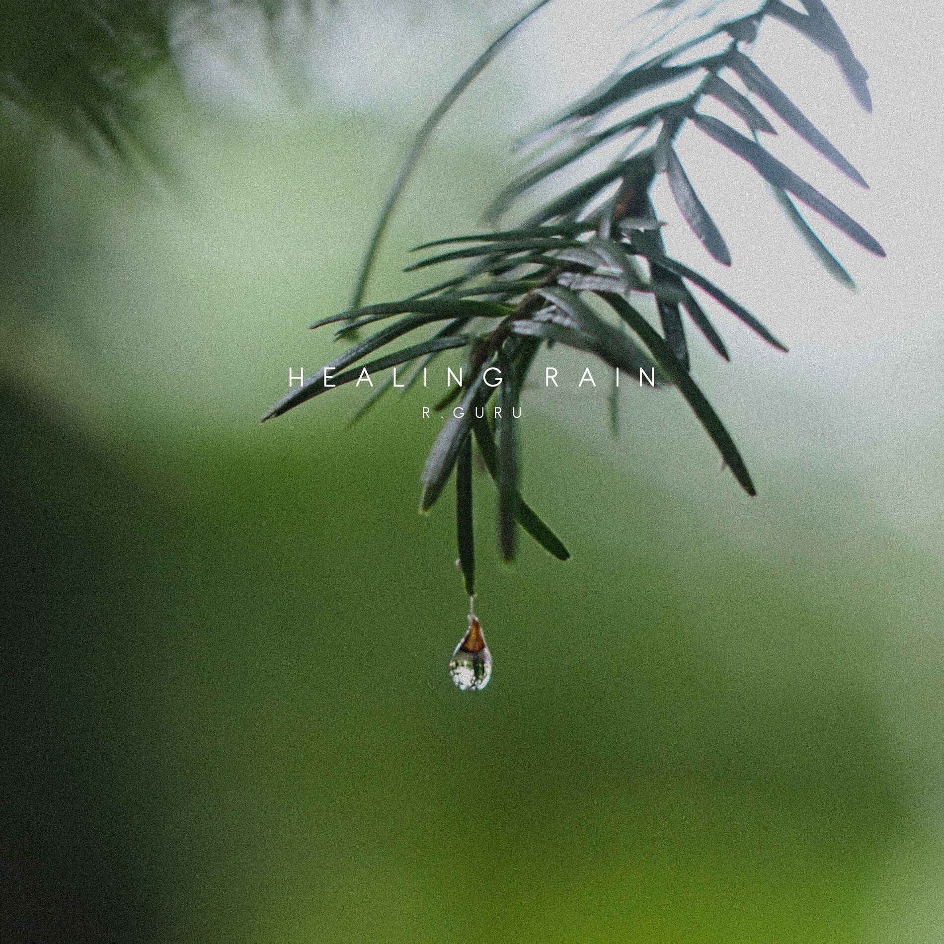 Album cover of Healing Rain