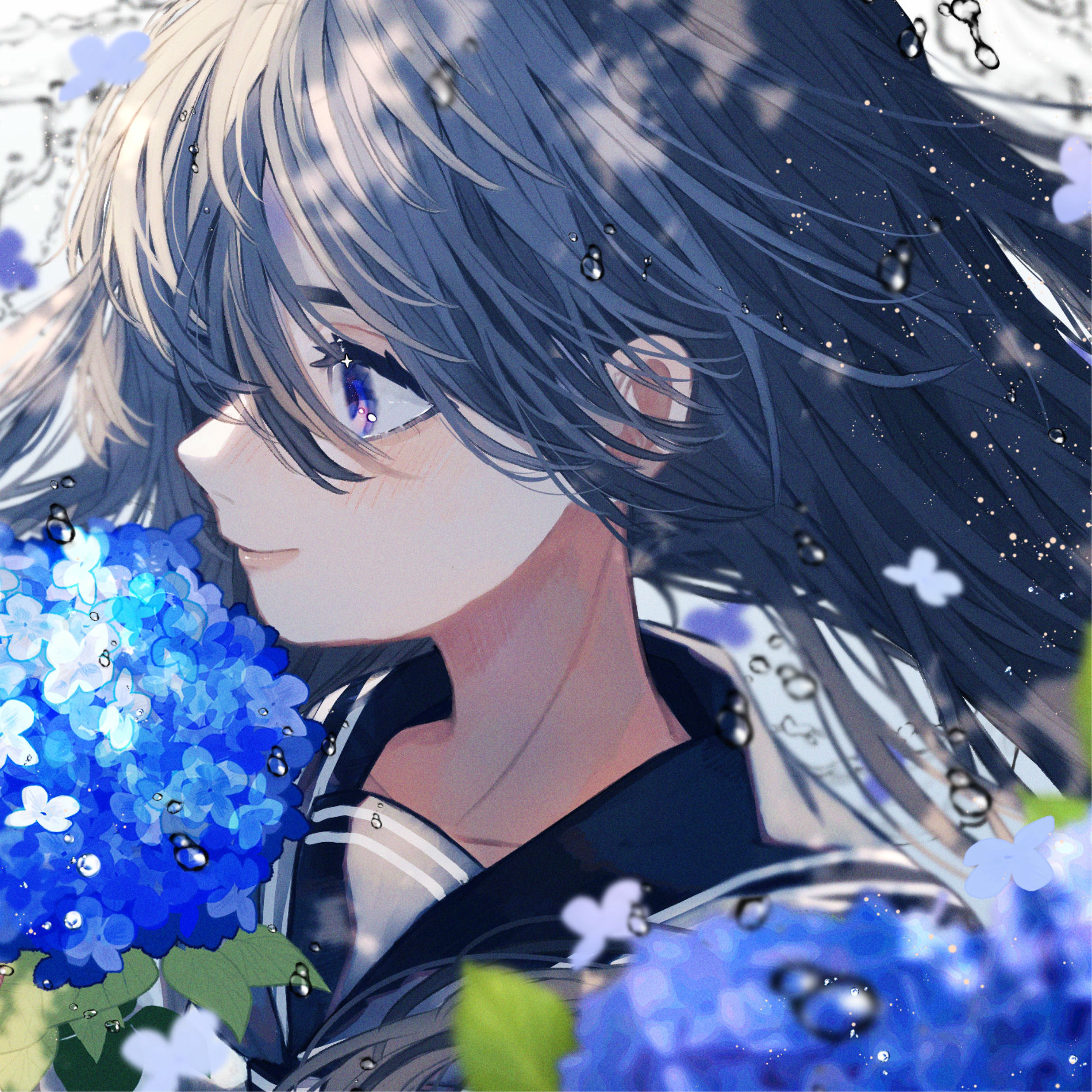 Himawari: albums, songs, concerts | Deezer