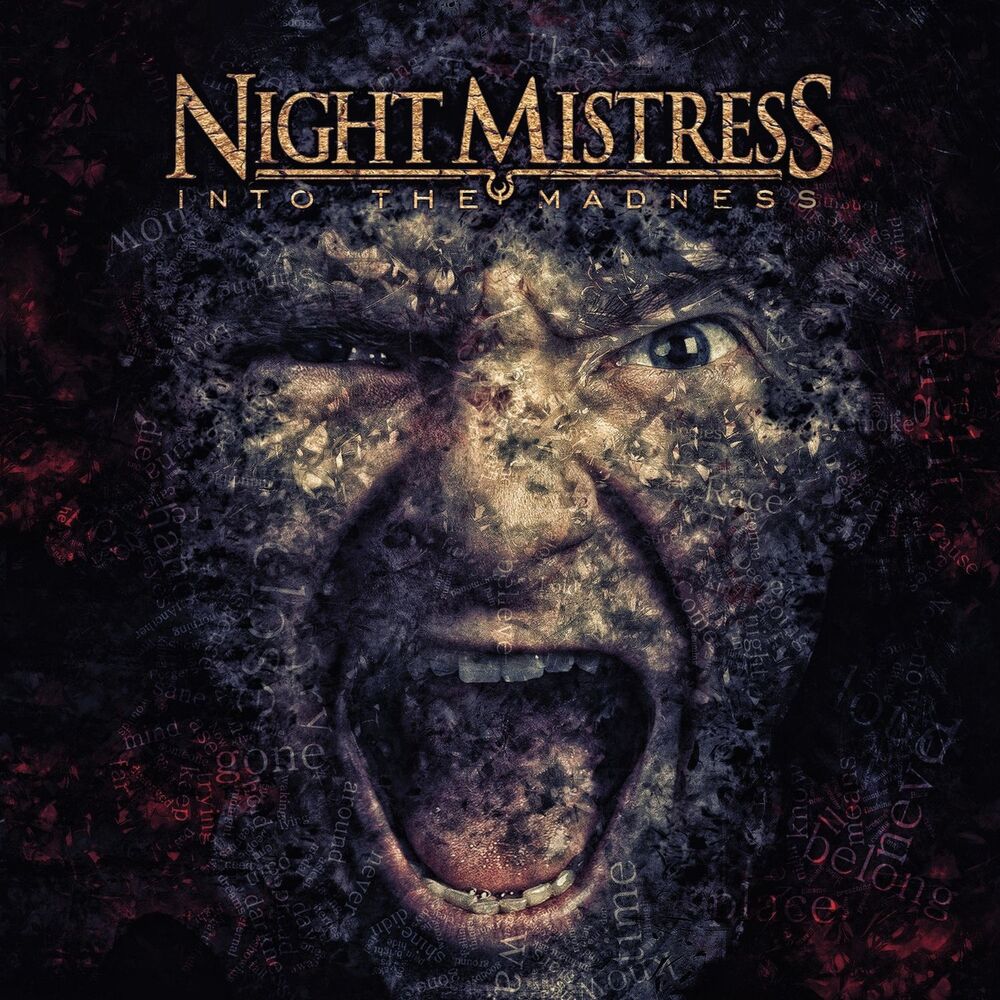 Picture of Into the Madness (0)