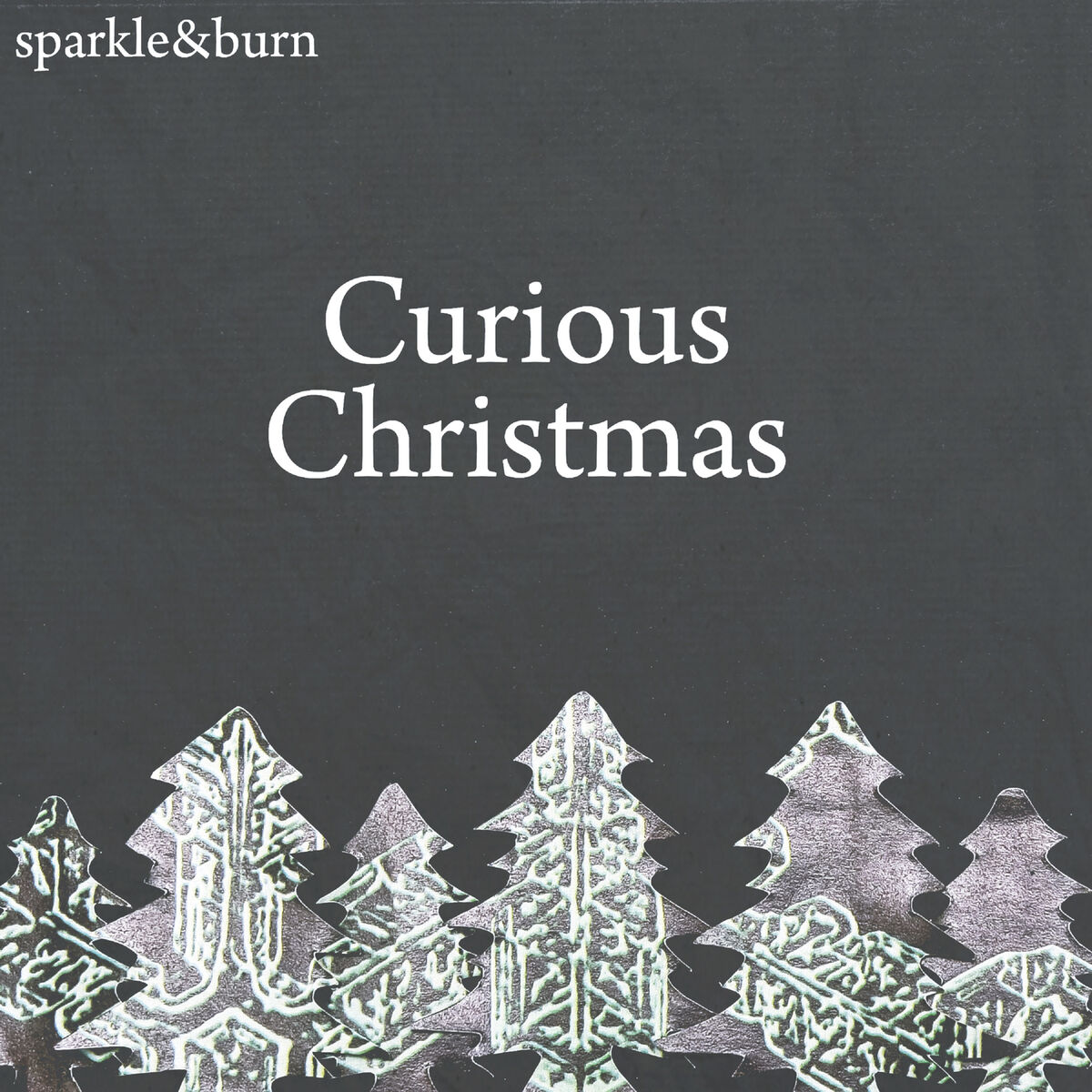 Album cover of Curious Christmas