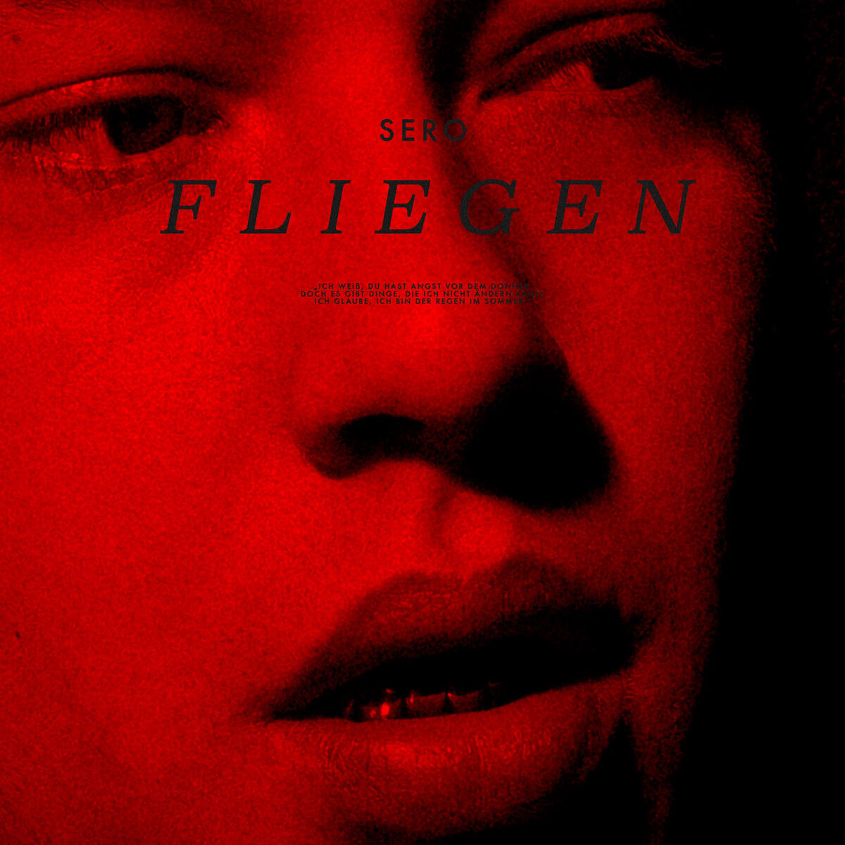Album cover of Fliegen (feat. ALMILA)