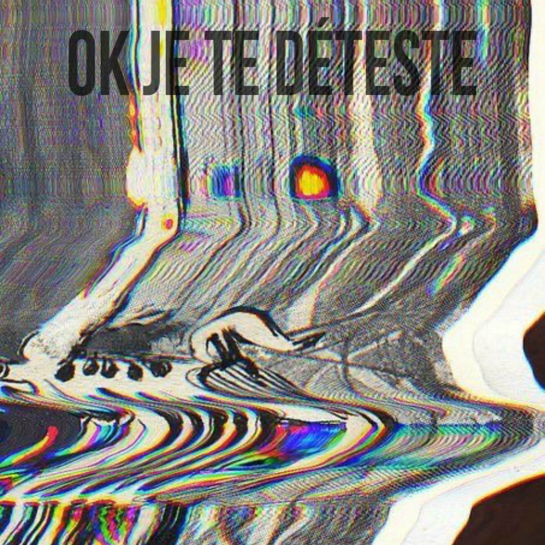 Album cover of ok je te déteste