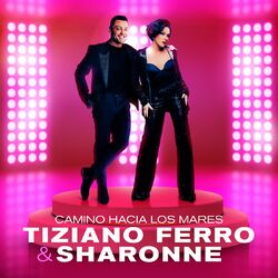 Cover of Camino Hacia Los Mares