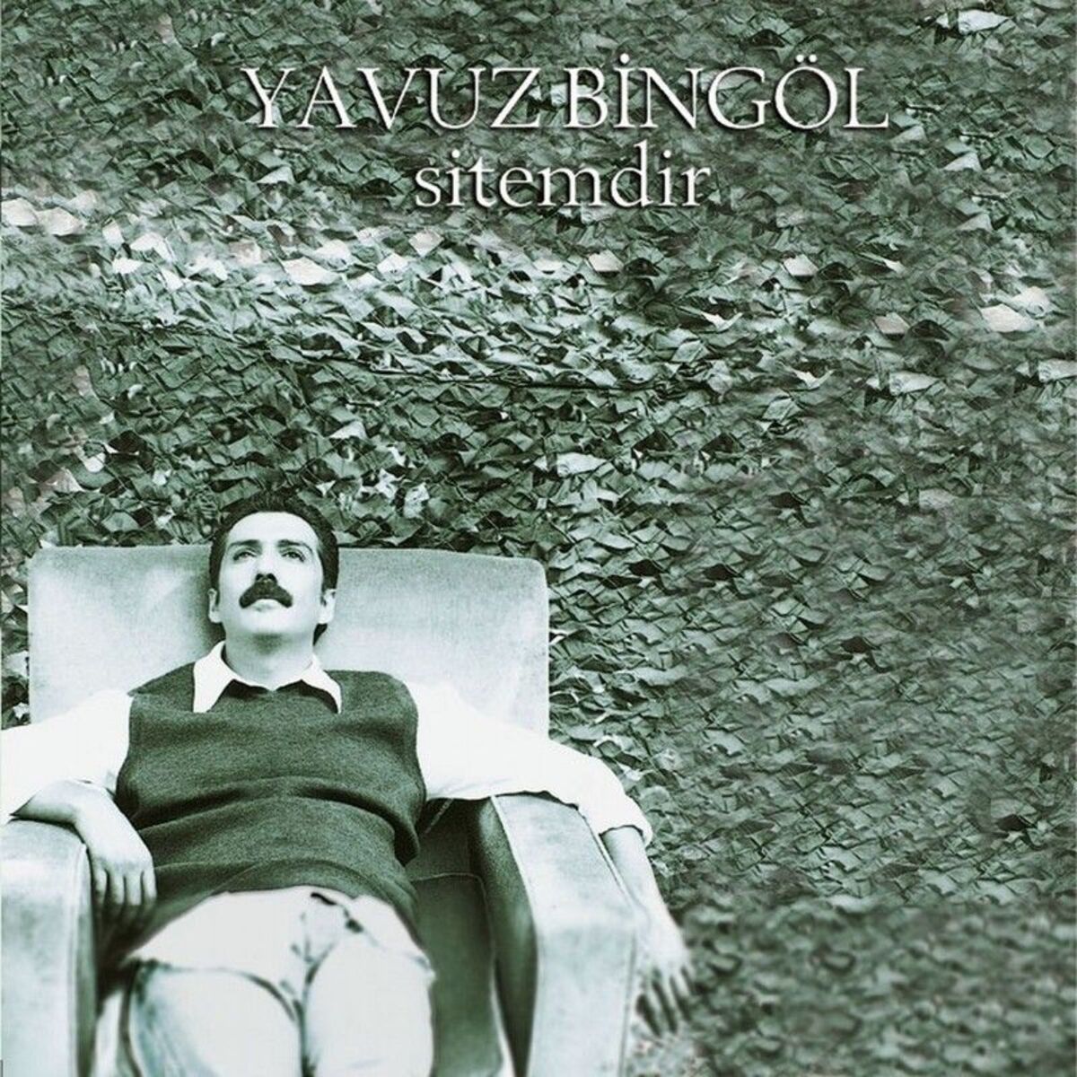 Album cover of Sitemdir
