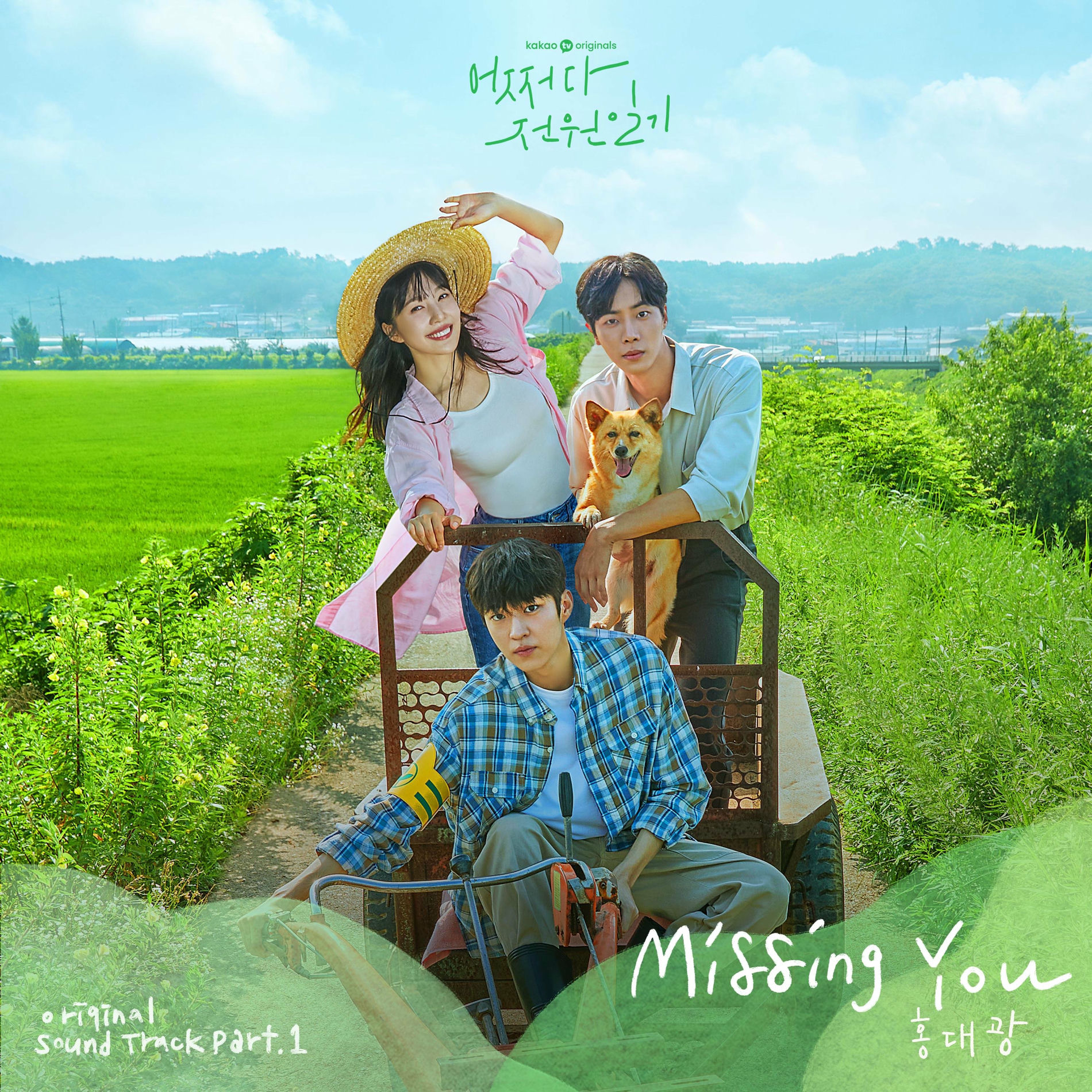 Album cover of Missing You