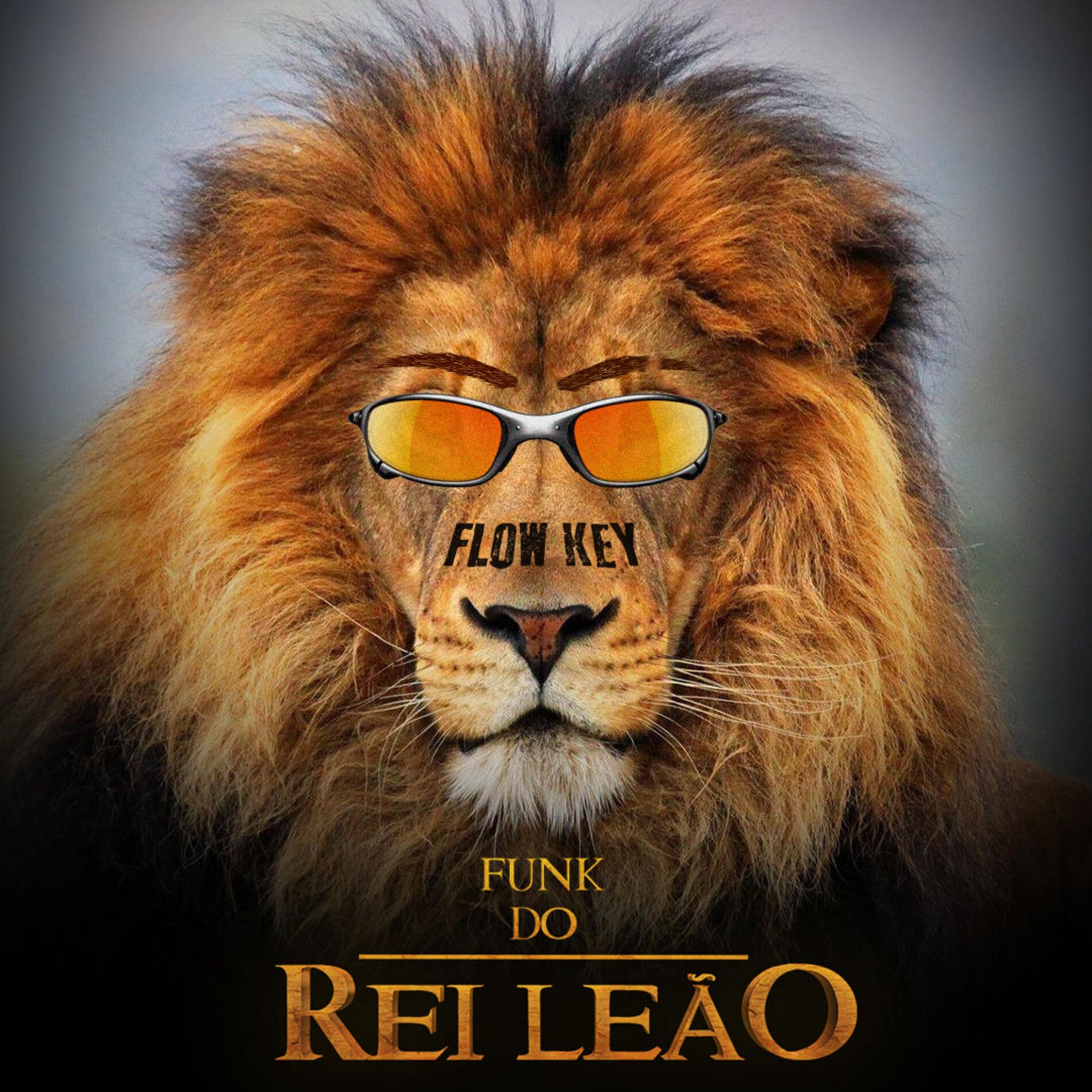 Album cover of Funk Do Rei Leão