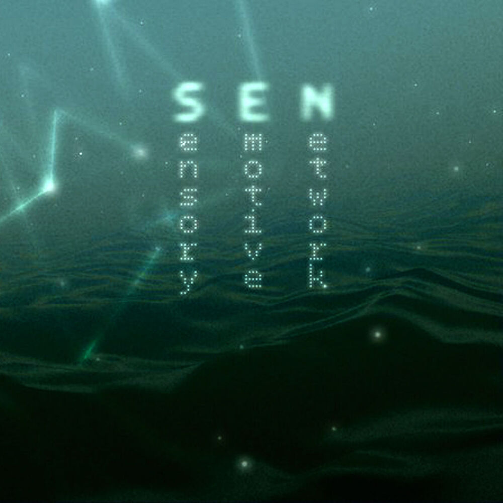 Picture of Sensory Emotive Network