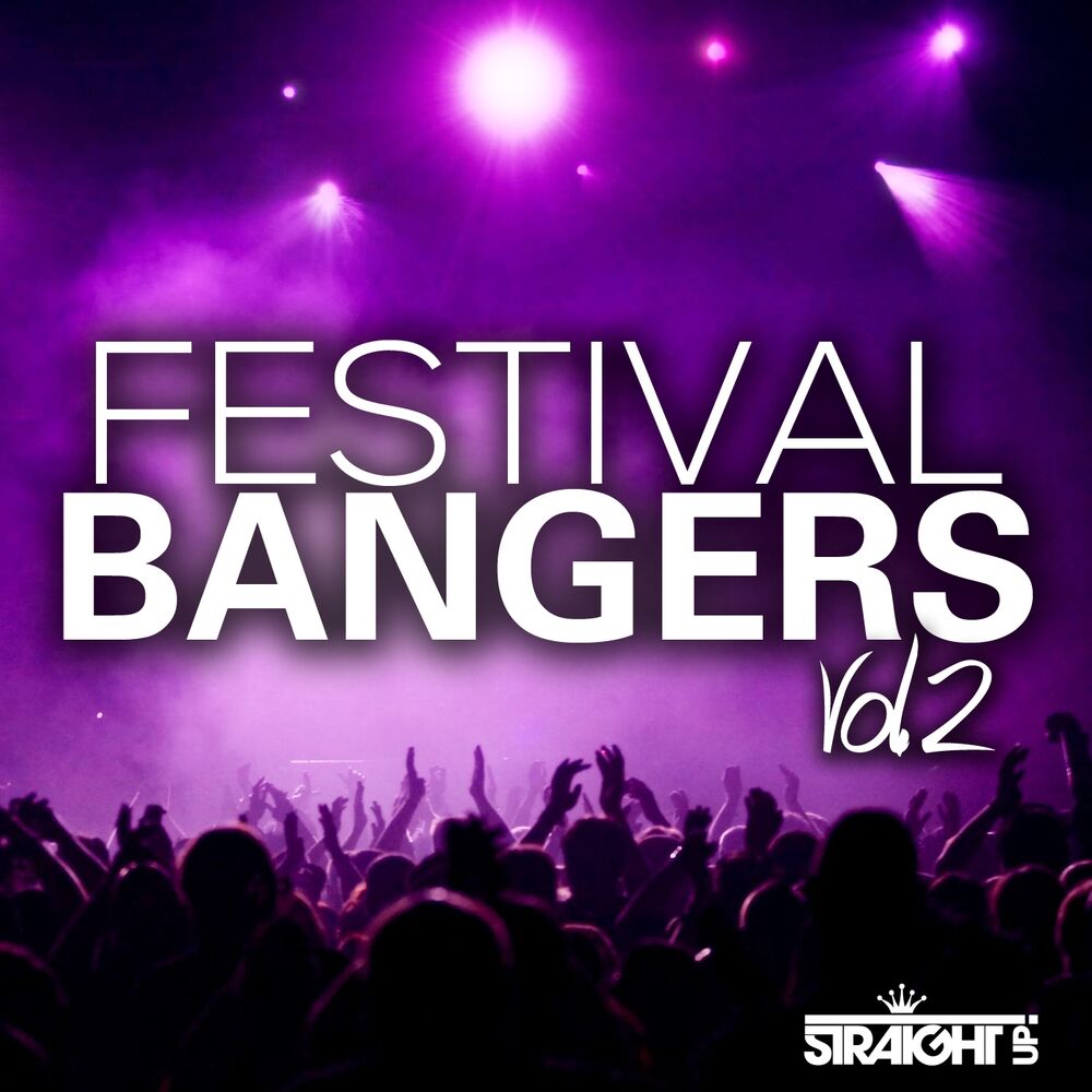 Picture of Festival Bangers Vol. 2