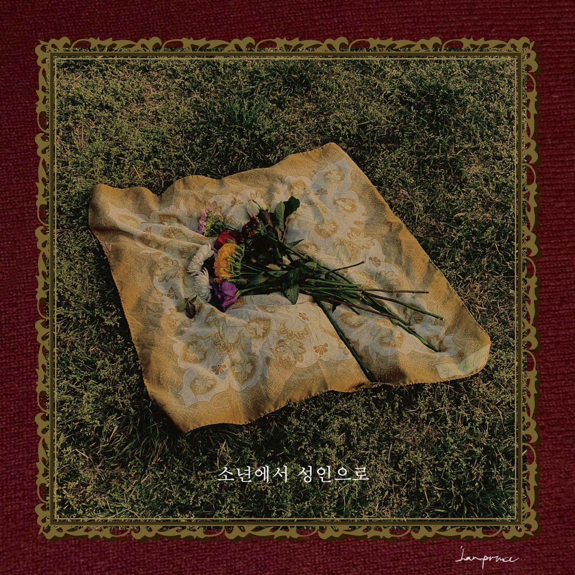 Album cover of 소년에서 성인으로