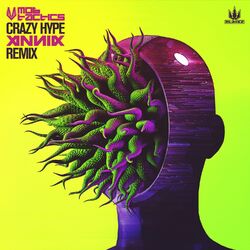 Cover of Crazy Hype (Annix Remix)