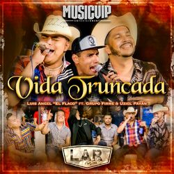 Cover of Vida Truncada (En Vivo)