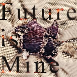 Cover of Future is Mine