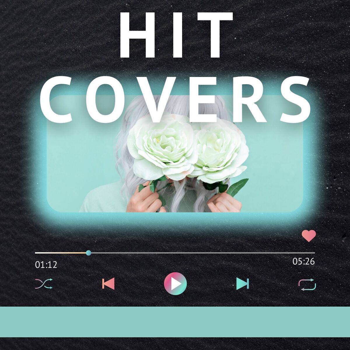 Album cover of Hit Covers