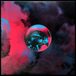 Cover of BIRDS