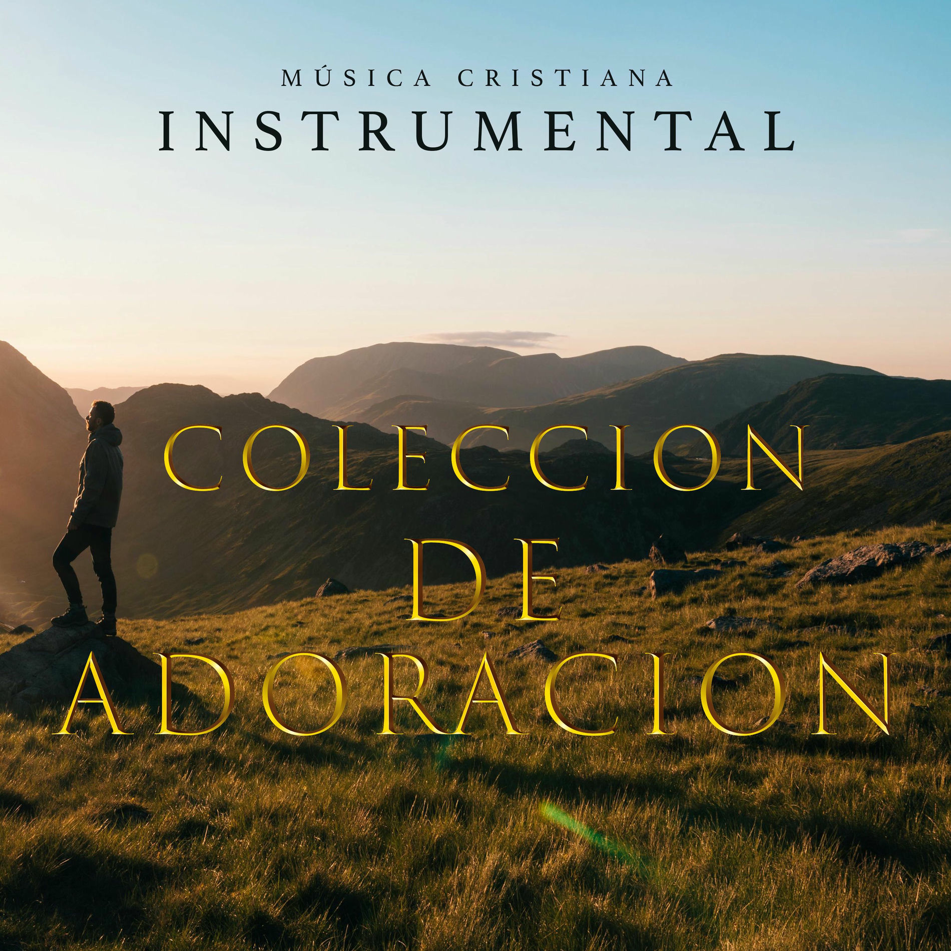 Album cover of Colección de Adoración
