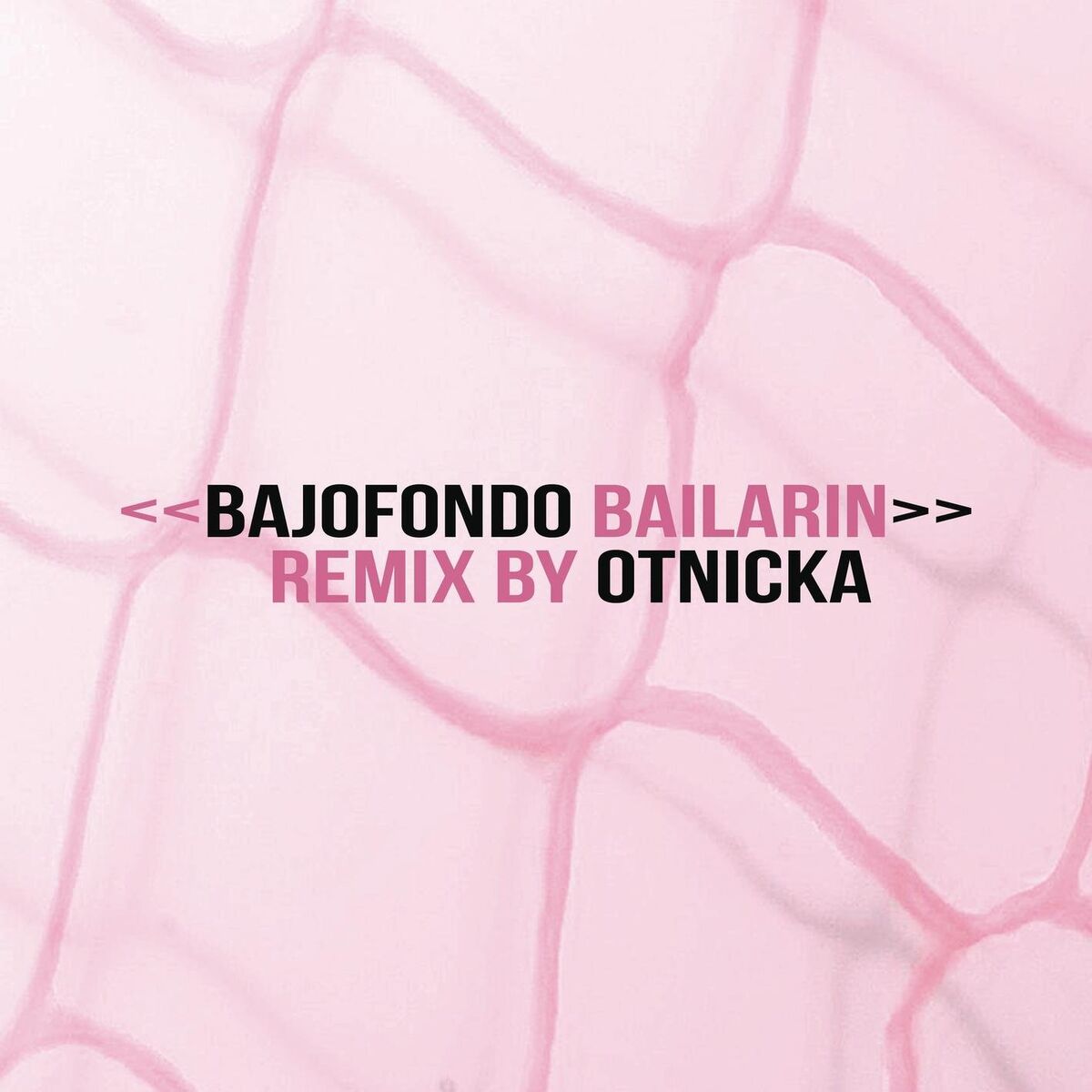 Album cover of Bailarín
