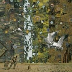 Cover of Built Upon a Fearful Void