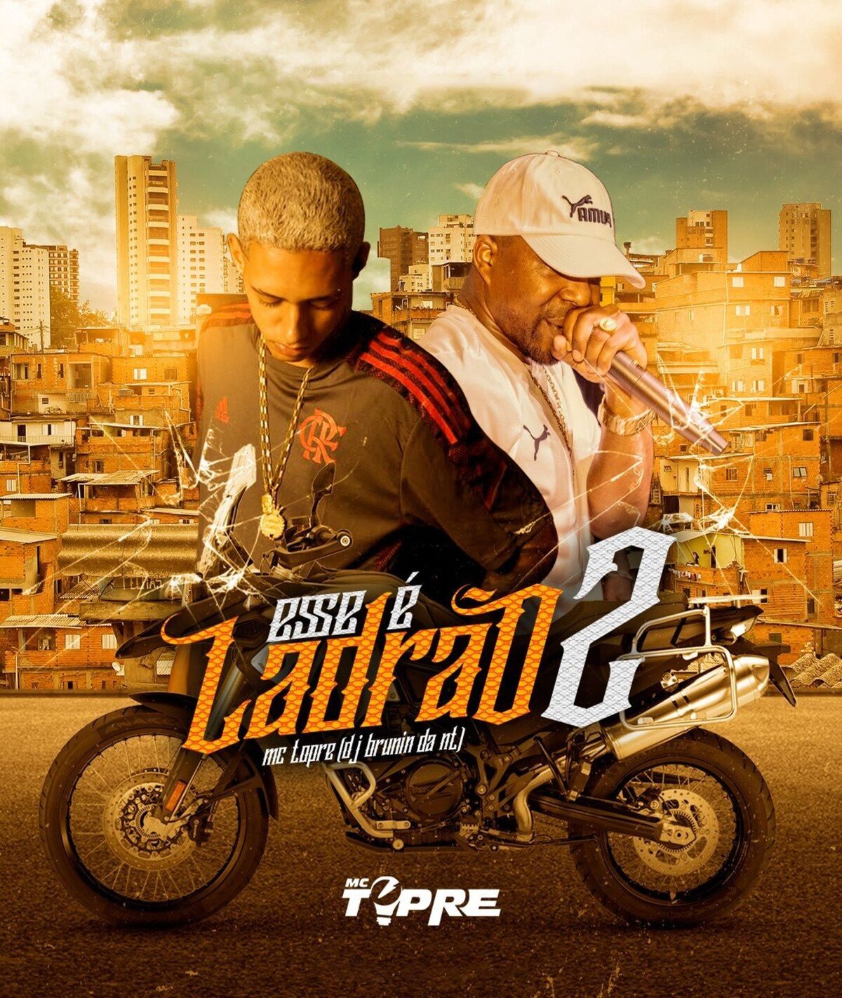 Album cover of ESSE É LADRÃO 2