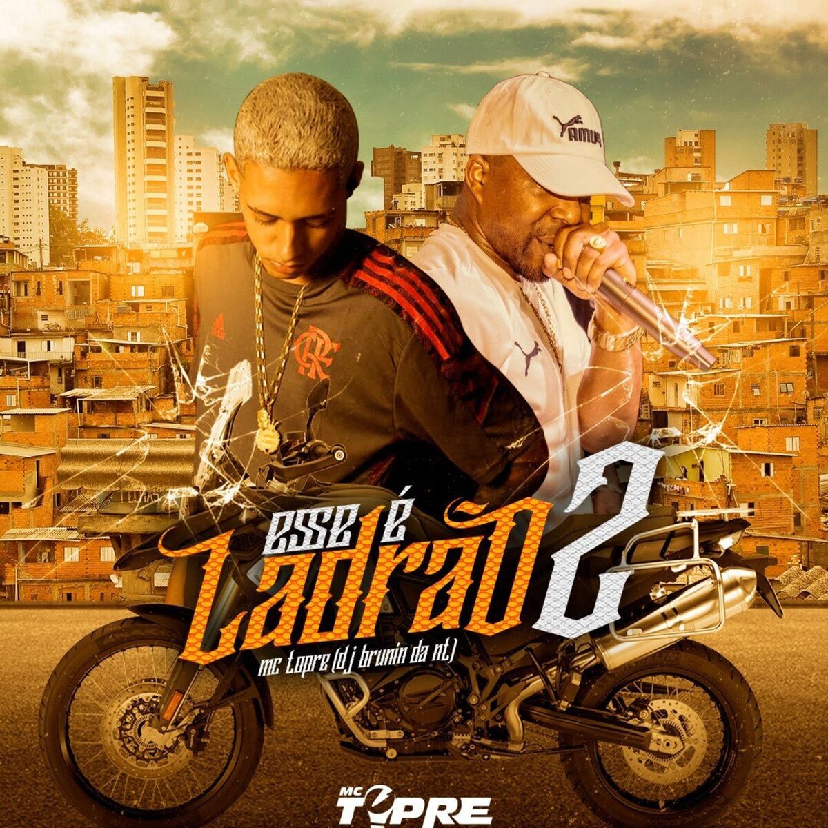 Album cover of ESSE É LADRÃO 2
