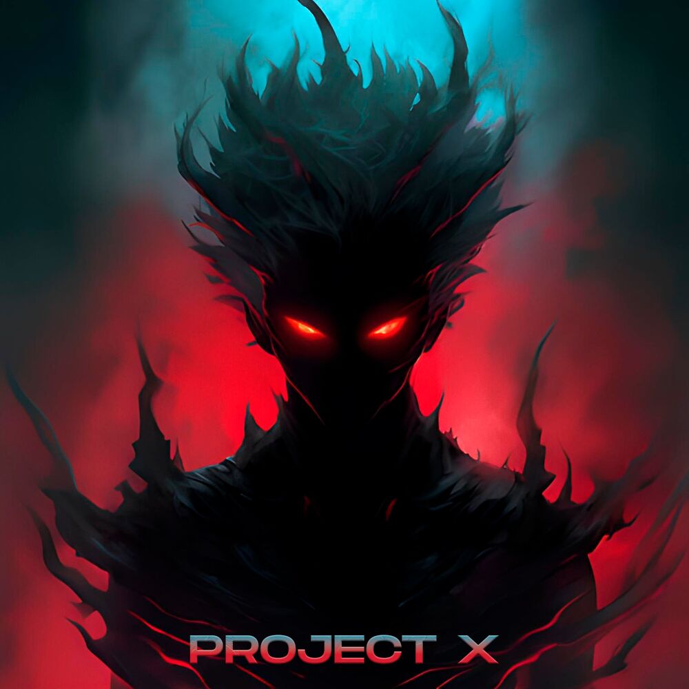 Picture of PROJECT X