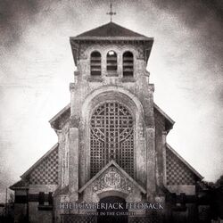 Cover of Noise in the Church