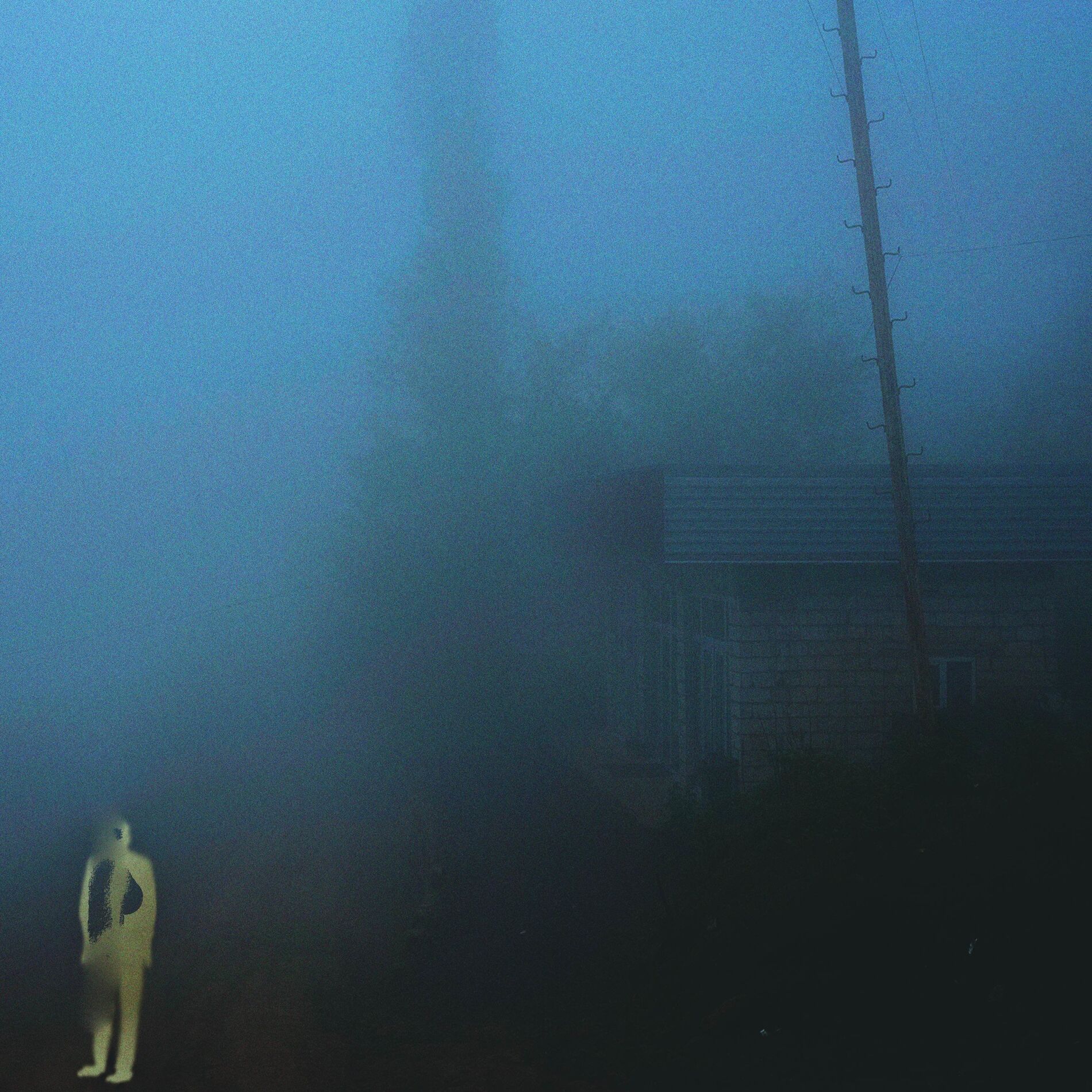 Album cover of veil