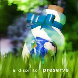Cover of Preserve