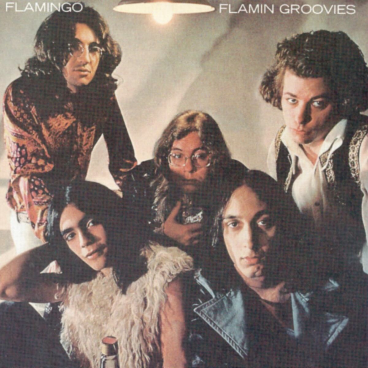 Album cover of Flamingo
