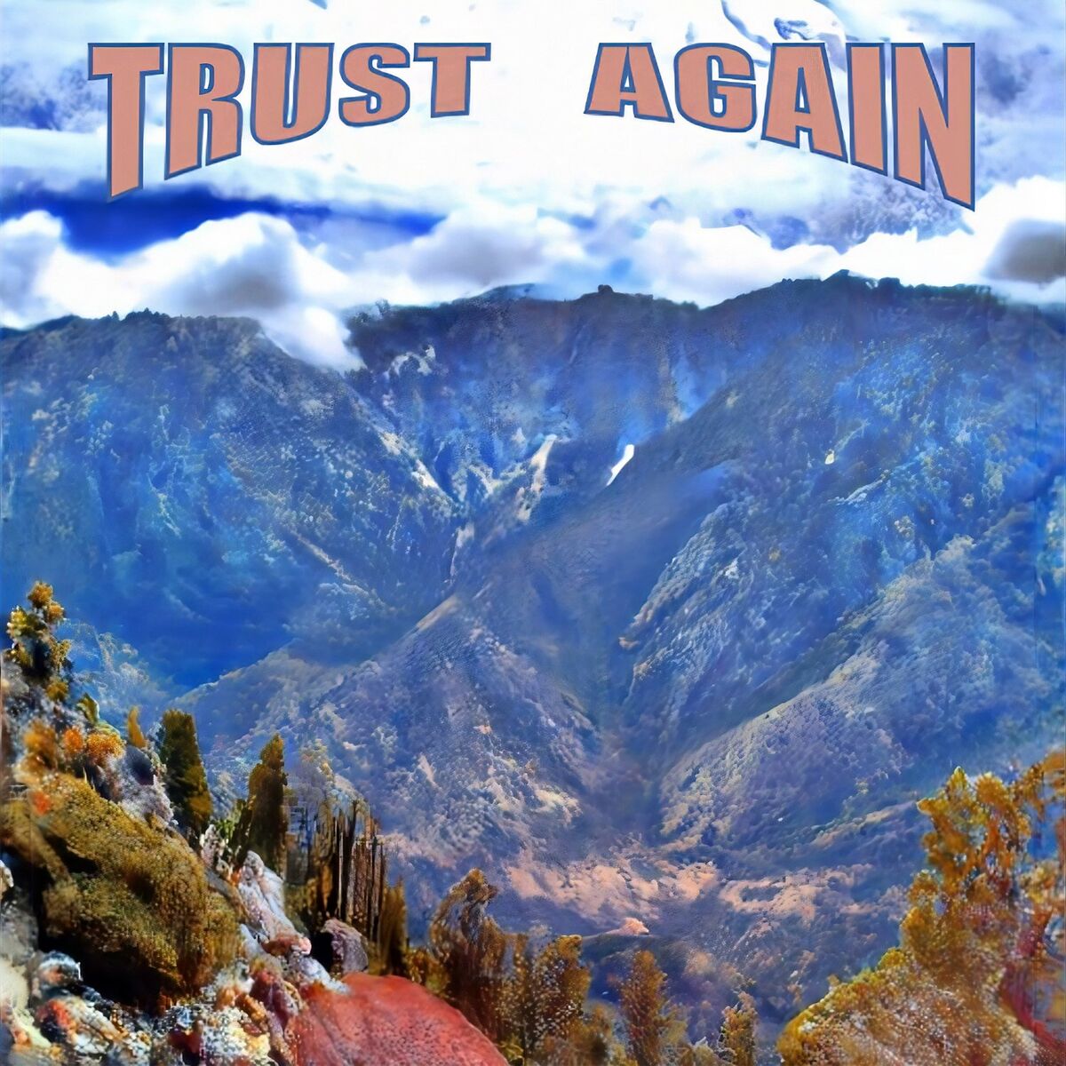 Album cover of Trust Again