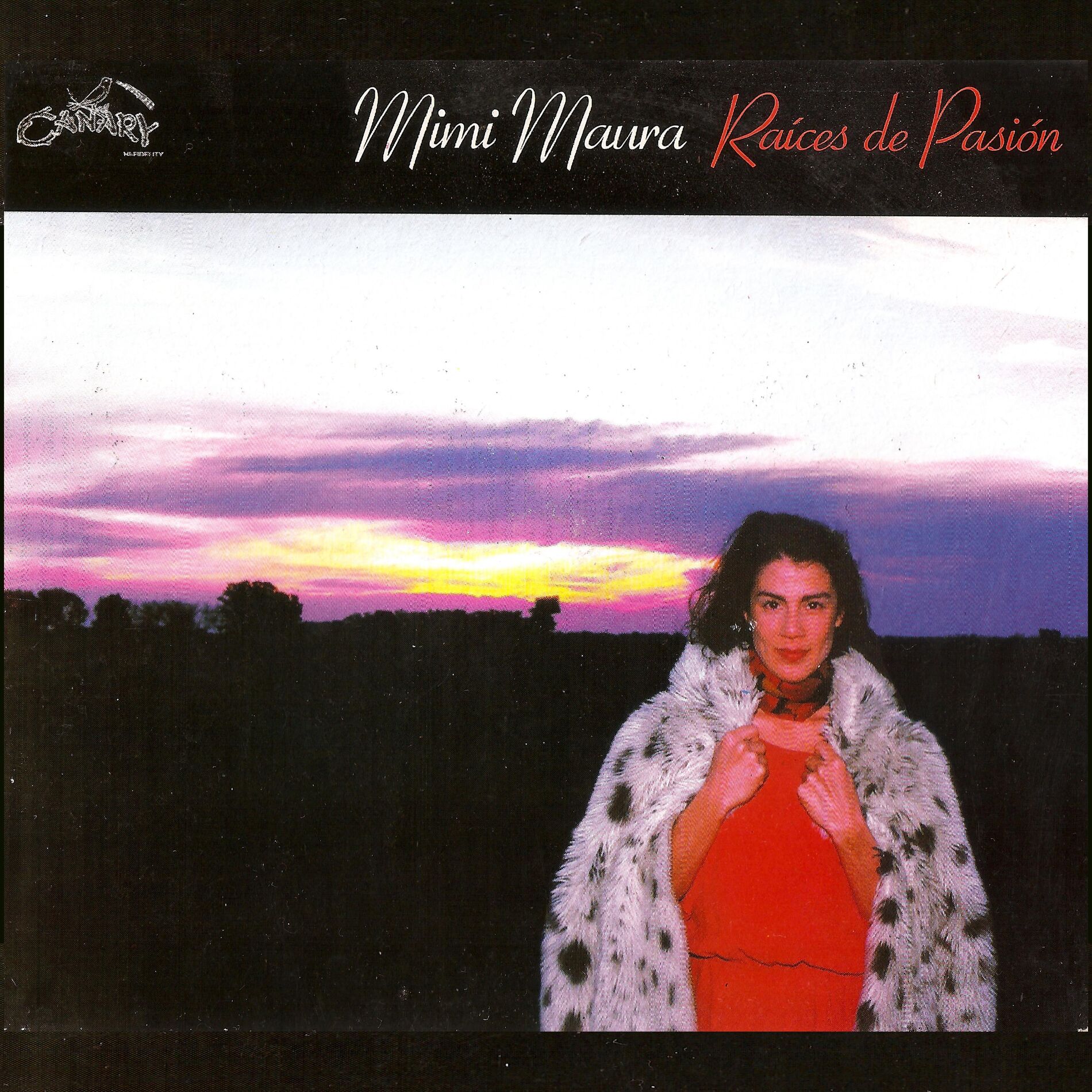 Album cover of Yo no lloro más