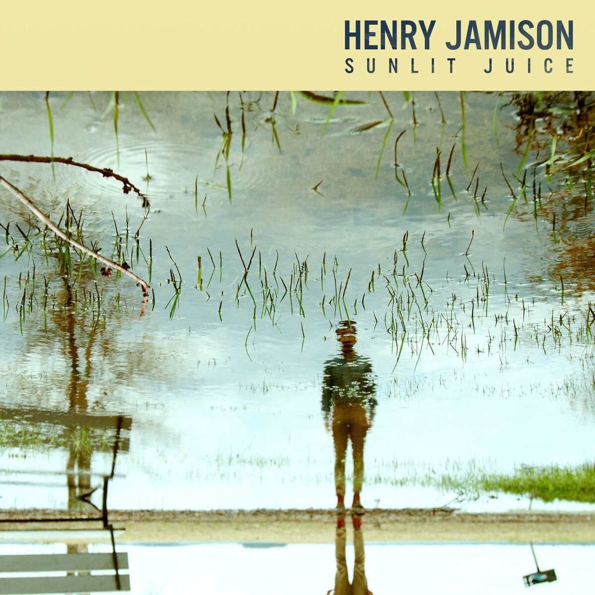 Album cover of Sunlit Juice