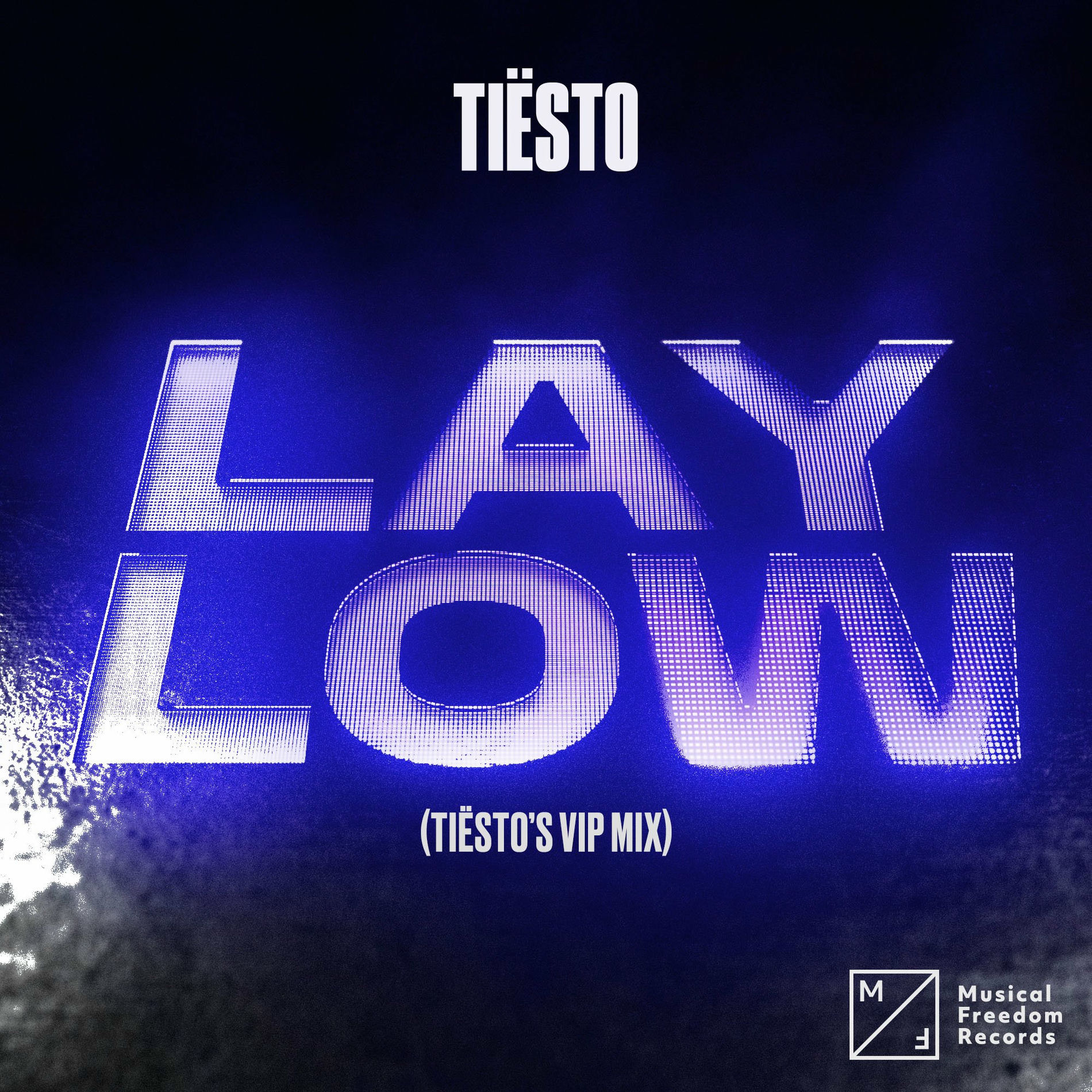 Album cover of Lay Low