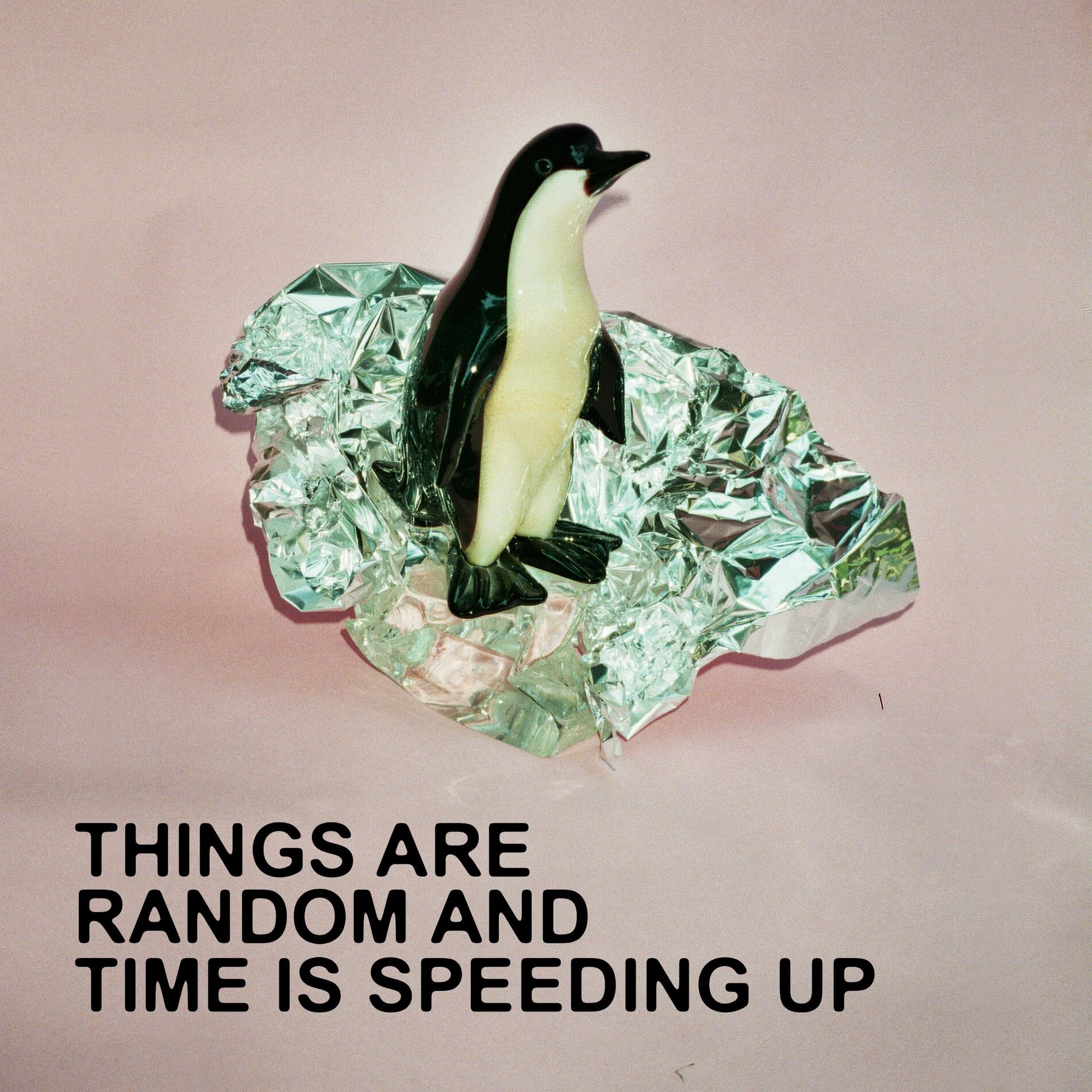 Album cover of Congratulations