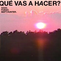 Cover of Qué Vas A Hacer?