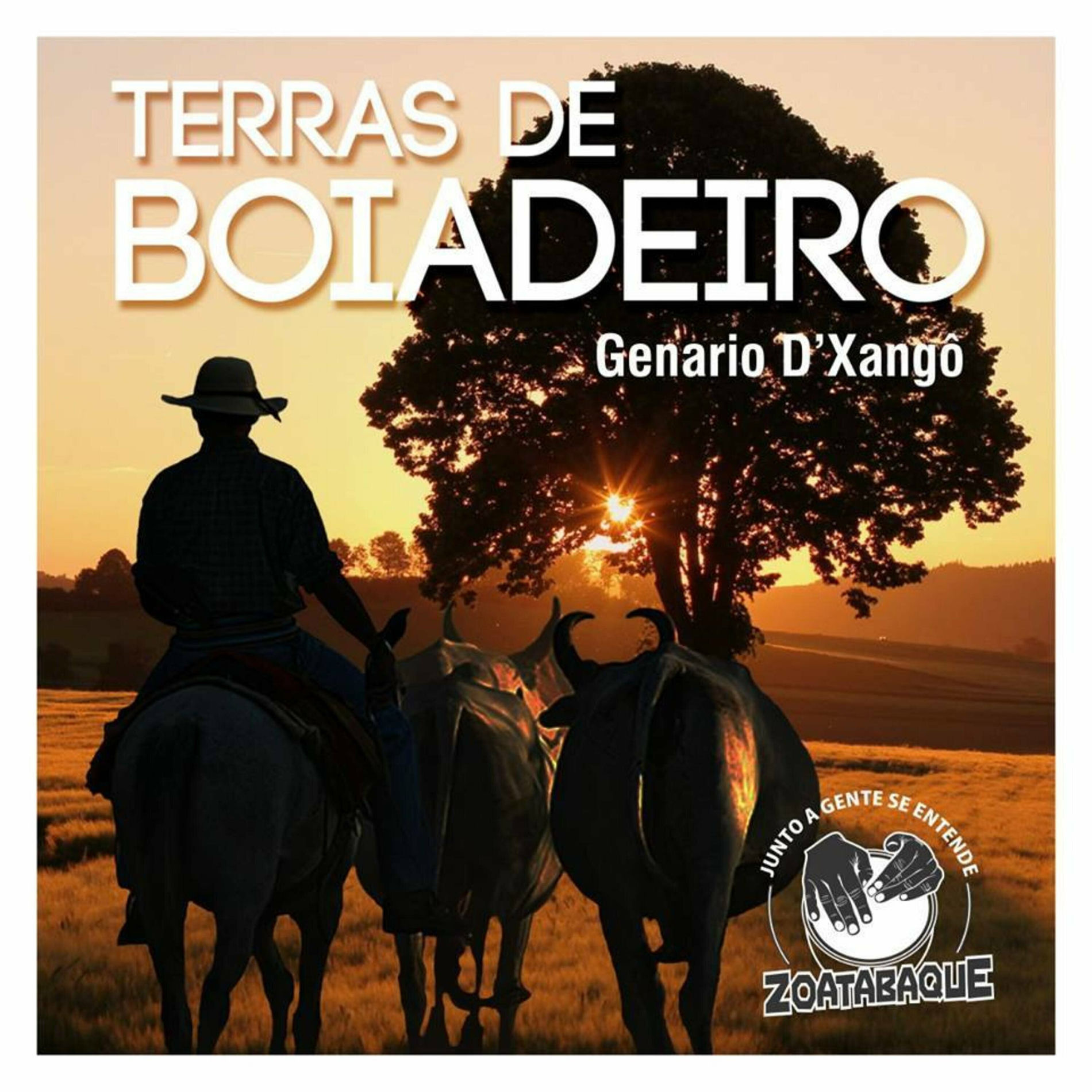 Album cover of Terras de Boiadeiro