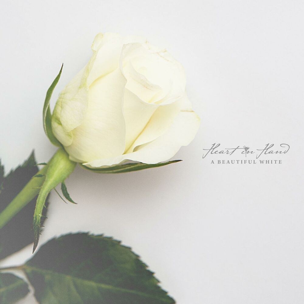 Picture of A Beautiful White